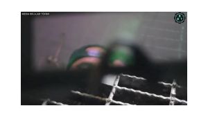 TaffGUARD Kacamata Las Otomatis Auto Darkening Soldering Goggles