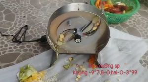 Máy thái củ quả lát đều đẹp chạy điện 220v