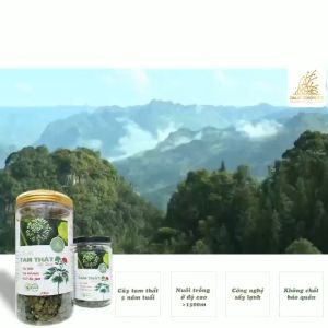 Trà thảo mộc nụ hoa Tam Thất Bắc bao tử sấy lạnh - Dalat Cordyceps - Loại Thượng hạng