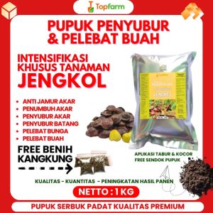 Pupuk Jengkol Cepat Berbuah / Pupuk Pelebat Buah Jengkol / Pupuk Untuk Tanaman Jengkol / Pupuk Bunga Dan Buah Jengkol / Pupuk Tanaman Jengkol