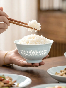 COMEPUSSI | Pretty New Style Jingdezhen Ceramic Rice Bowl