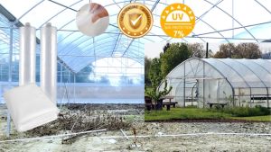 0.2mm Transparent UV Greenhouse Film Filem Rumah Hijau 6 Meter 8 Meter Farm Net UV Plastic UV Cover Greenhouse Plastic