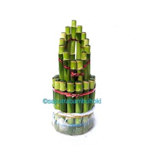 Bambu Hoki / Bambu Rejeki Pagoda Susun 3 Spiral Mahkota Sumur Kipas Satuan / Ecer Tinggi 15 cm