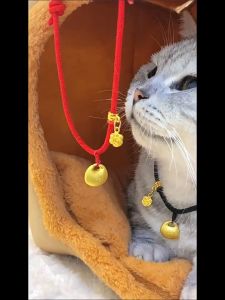 XIAOPANGFU Kolar Kucing Gold Ingot Pet Collar 红色胖福宠物编织项圈