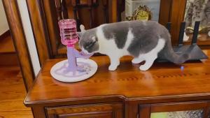Automatic Water Renewal Cat Drinking Machine Anti Overturning Splash-proof Automatic Water Dispenser Non Plug in Stable Base