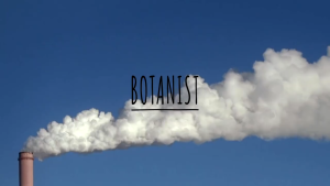 BOTANIST Botanical Shampoo & Treatment For Weakend Hair Nourish Reduce hair fall Strengthen scalp barrier (460ml)