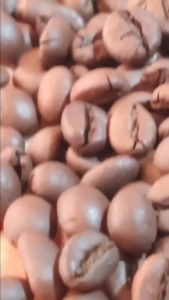 Túi 500g Cà Phê Hạt Rang thành phần Robusta nguyên chất cafe Quyến Gia Thượng Hạng