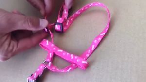 Tali Tuntun Murah Kucing Harness Kelinci Anjing Kecil Bentuk Y Tali Aksesori Hewan Peliharaan