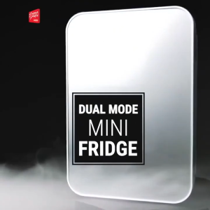 10L Mini Refrigerator Portable Car Refrigerator Home Electronic Cooling Beauty Mask Small Freezer Cool Heat Modes Energy Saving Skin Care Baby Food Drinks Fridge For Home Car Office