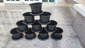 กระถางต้นไม้ 8" เซ็ทพร้อมจานรอง 8" แพ็คละ 10 ใบ