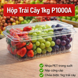 🧊 HỘP NHỰA ĐỰNG BÁNH – TRÁI CÂY 1KG - P1000A 🧁🍇