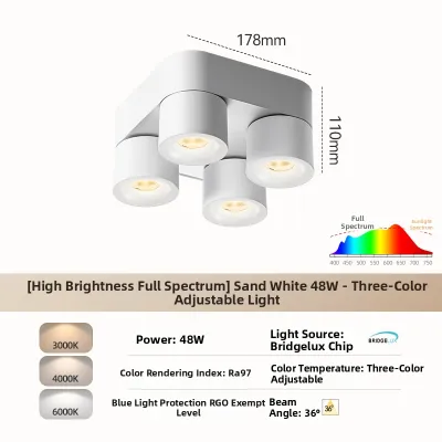 DENGFU | Adjustable Angle Ceiling Downlight