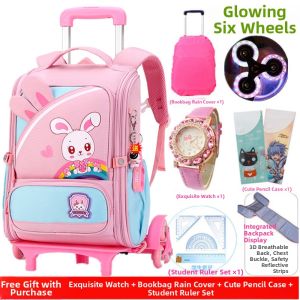 Ergonomic Large Capacity Rolling School Bag