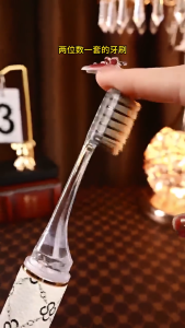 Luxury portable travel toothbrush