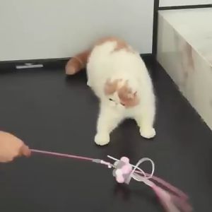 Cat Soft Bell Feathers Stick Toy Cat Toy Pet Toy Cat Interactive Toys For Cats Kitten Toys