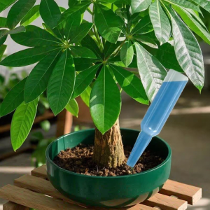 LIKE | Foliar Health Concentrated Nutrient Solution for Pachira