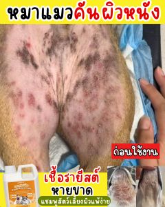 แชมพูหมาแมว กำจัดเห็บหมัด สูตรอ่อนโยน แชมพูบำรุงขนสุนัข ขนาด 1 ลิตร  แชมพูสัตว์เลี้ยง แชมพูแมว สบู่อาบน้ำหมา ปลอดภัยต่อสัตว์เลี้ยง