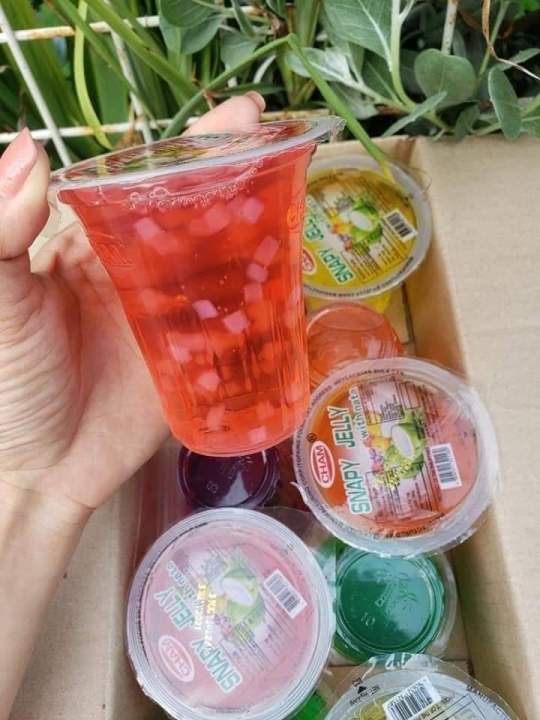 Snapy Jelly Juice With Nata per box Lazada PH