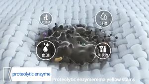 Japan Laundry Detergent Liquid Detergent Lingerie Detergent Lingerie Wash Underwear Detergents Stains Removers 99.9% Antibacterial Remove Blood Stains And Odor 300ml 内衣洗衣液