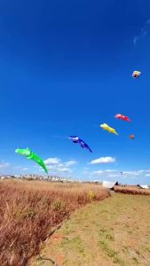 Crocodile kite pendant soft kites flying for adults kites nylon inflatable kites ultra large kite Outdoor toy sport Air tent fun
