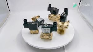 1/4" 3/8" 1/2" 3/4" 1" 1-1/4" Normally Close Brass Electric Solenoid Valve DN15 DN20 12V/24V/220V/110V for Water Oil Air IP65