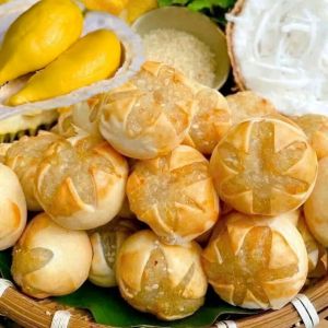 Bánh dừa nướng vị Sầu riêng - Lá Dứa [ Ít Ngọt ]🌱Hộp 200gr - 400gr🌱Bánh mới mỗi ngày vị truyền thống thơm ngon tuyệt vời