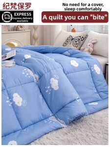 JIFANPAUL | Thick All-Season Quilt