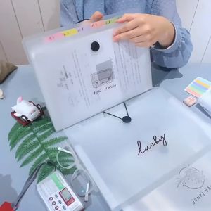 Seafilii Long File Folder Organ Bag 12Pockets Expanding Document Organizer with Labels School Office Supplies