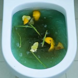 260G Pipe dredging agent kitchen toilet toilet floor drain deodorant artifact drain dredging agent