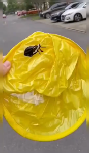 Childrens UFO Raincoat Cap Children Cartoon Kids Raincoat Rain Coat Cute Animal Waterproof Cover