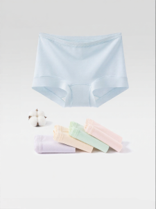 Secret World | Cotton Antibacterial Seamless Womens Boxer Shorts