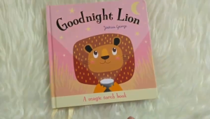 [SG STOCK] Magic Torchlight Story Book Children Kids Interactive Activity Goodnight Animal Books