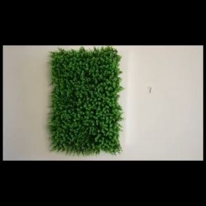 LDG ต้นตีนเป็ด แต่งบ้าน แต่งรั้ว แต่งผนัง แผ่นตีนเป็ดหญ้าเทียม (ถ่ายจากสินค้าจริง)ขนาด 40*60 cm.