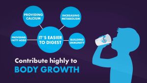 [Chilled] Diamondpure A2 Protein Milk with Inulin Fibre 1L (12 Packet)