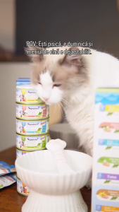 Signature7 Catnip-Infused Cat Wet Can in Gravy 70g - 7 Real Meat Recipe Grain-Free w Taurine