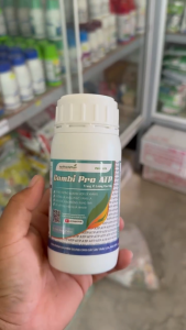 Phân vi lượng AnThinhPhat Combi Pro chai 250ml nhập khẩu Úc