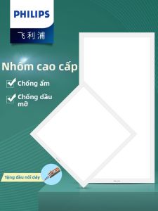 Philips | Bathroom Ceiling Light 300x600mm