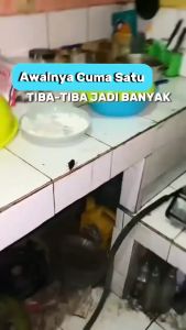 PEMBASMI KECOA PALING AMPUH QUICKPICK Wiselie Anti Kecoa Spray Racun Pembasmi Kecoa Kecoak Bugs Buster Terampuh Paling Ampuh INFARM - Repellent Pengusir Kecoa Spray Anti Kecoa 100 ml Kayuan seroxil homeguard wiselie pengusir serangga pembasmi serangga