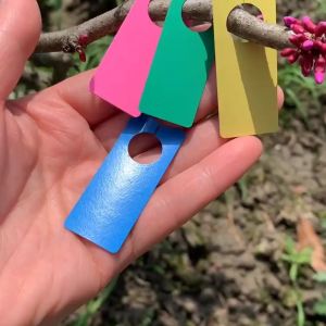 10 Pcs - Plant Label Name Tag - Label Penanda Tanaman Model Hanging Ring - Tipis Gantung 2x5 cm