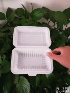Food Grade Disposable Meal Box