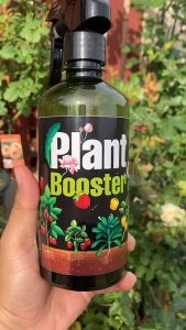 สเปรย์สารอาหารทางใบ ไซโตไคนิน + อะมิโนฮิวมิค