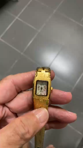 Vavis VAVIS[45]JR8015GW Luxury Ladies Wristwatch (Gold)