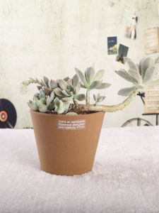 Large Breathable Ceramic Flower Pot Red Ceramics Porous Porcelain Orchid Plant Stand Garden Outdoor Indoor Decorative Pots