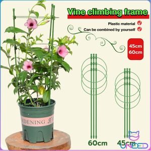 Garden Plant Support Solutions: Climbing Vine Flower Stands & Dill Gardening Supplies