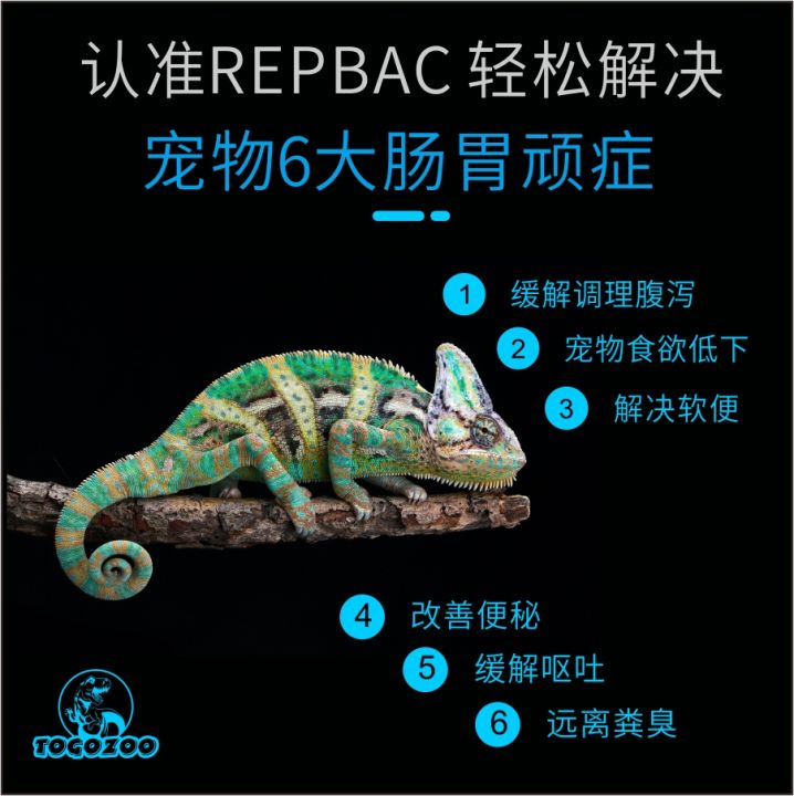 Bac Gut Health Probiotics for Lizards Iguanas Turtles Geckos Snakes Pet ... - Compatibility Of Probiotics For Snakes