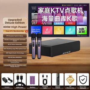 SKAMA | Smart KTV Entertainment Wireless Microphone