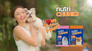 Nutri Chunks - Dog Treats - Protein Rich Sticks - Available in Beef and Milk Flavors (70g Resealable Pack)