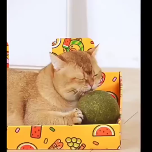 BFF 24SS 10cm Large Cat Catnip Ball Cat Mint Chew Toy Cat Snacks Treats Catmint Mainan Makanan Kucing 猫薄荷球