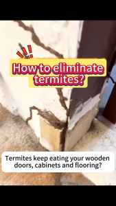 ✨Whole Nest Elimination✨Termite Killer Powder 60g Termite bait Prevent Wood Damage Household