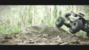 (COD)1:16 Xe RC 20KM/H 4WD Xe điều khiển từ xa 2.4GHz Xe tải quái vật Buggy Đồ chơi địa hình